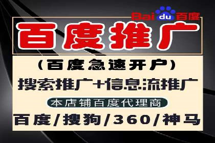 专业sem竞价托管服务，案例解析提升广告效果